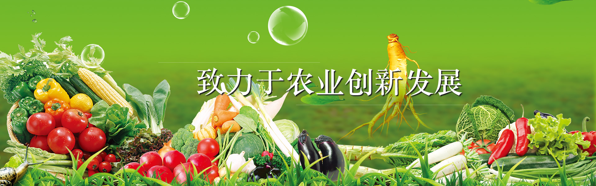 致力于农业创新发展
