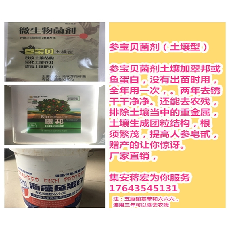 参宝贝菌剂（土壤型）